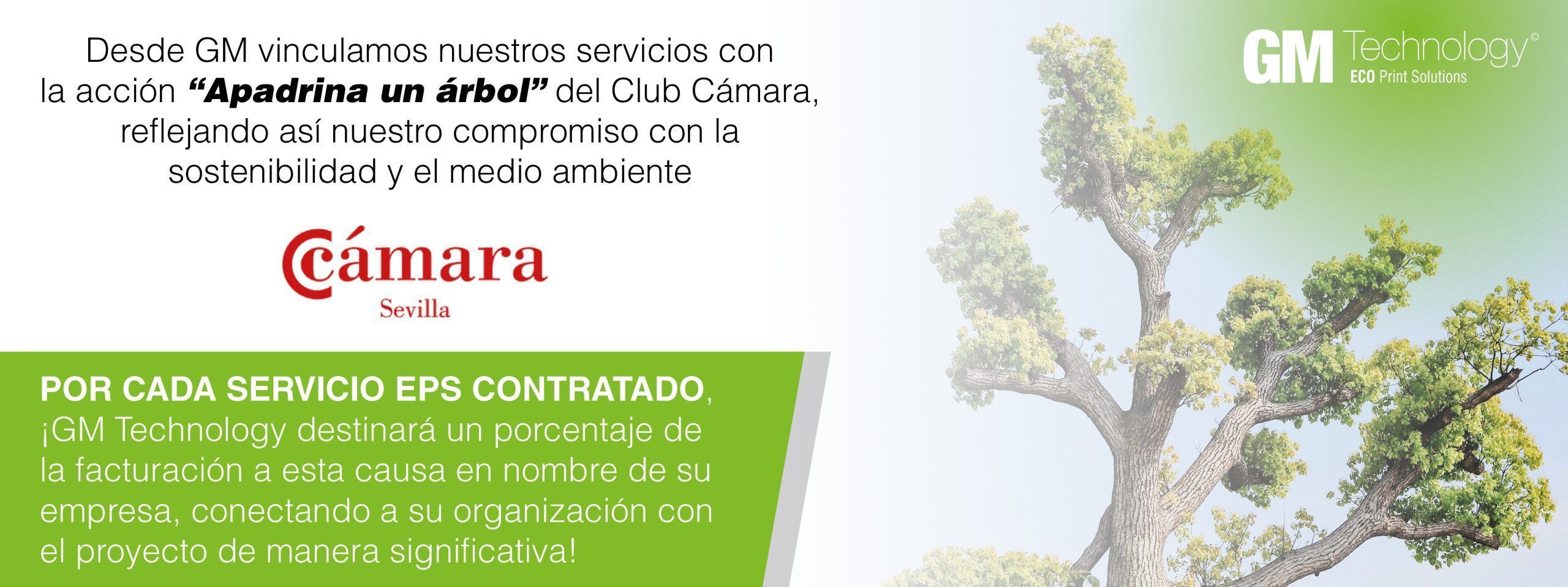 Banner web Apadrina un árbol